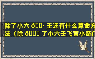 除了小六 🕷 壬还有什么算命方法（除 🐟 了小六壬飞宫小奇门筒单算命外还其他）